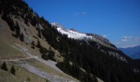 Pertisau - Path leading from Dalfaz Alm